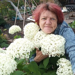 , 57, 