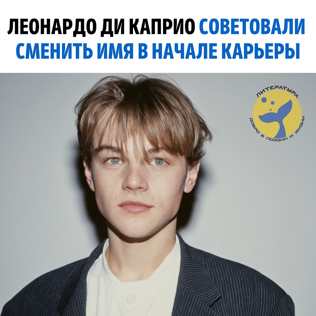    12 ,        . -     ...