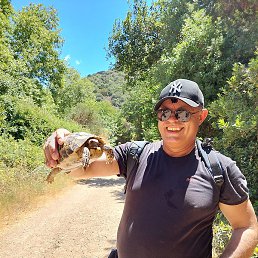 ������, ���������, 58 ���