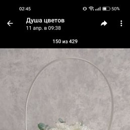 ���� �����, ��������, 48 ��� - ��������� 19 ������� 2025