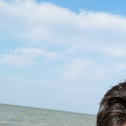 ����, ����������, 38 ���