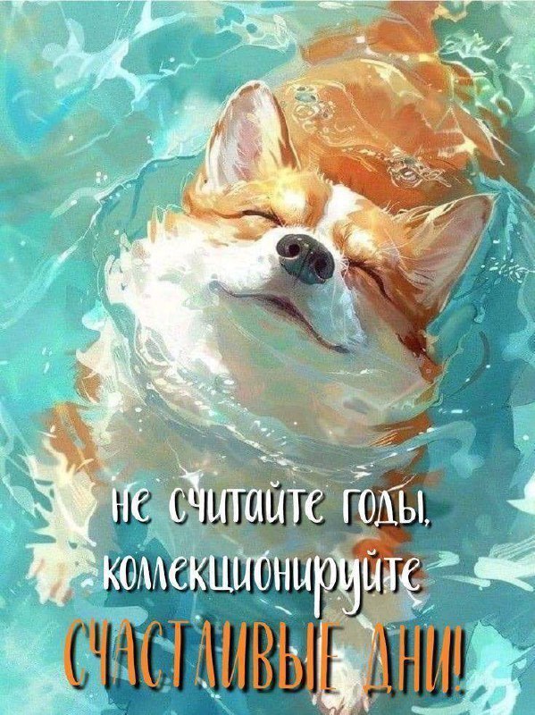   ,    . - 25  2025  14:39