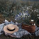 ���� ����, ����� - ��������� 28 ������ 2025 � ������ ���� ������