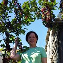 ���� �����, ���������, 55 ��� - ��������� 17 ������� 2026 � ������ ���� ����������