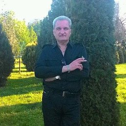 , 61, 