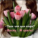 ���� ����, �����-��������� - ��������� 27 ������� 2026 � ������ ������ ��������