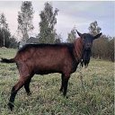 ���� Ѹ�� �� ��������!, �����, 48 ��� - ��������� 3 ������� 2025 � ������ ������ ��������