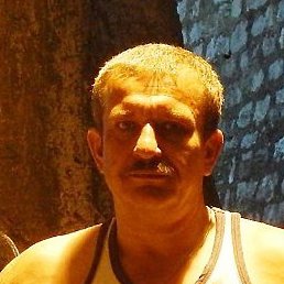 Whitebear, �����