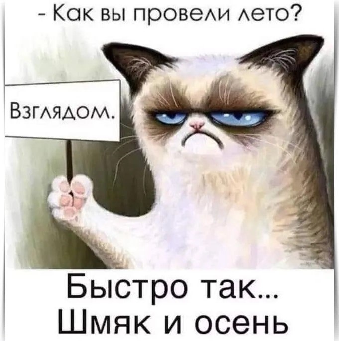 *************************