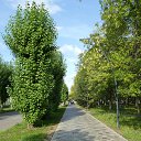 ���� ������, ����������, 60 ��� - ��������� 11 �������� 2025 � ������ ���� ����������