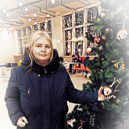 ���� �����, �����-���������, 57 ��� - ��������� 13 ������ 2026