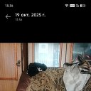 ���� ����, ������-��-����, 58 ��� - ��������� 18 ������ 2026