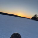 ���� �������, �����, 42 ���� - ��������� 14 ������� 2026 � ������ ������ ��������