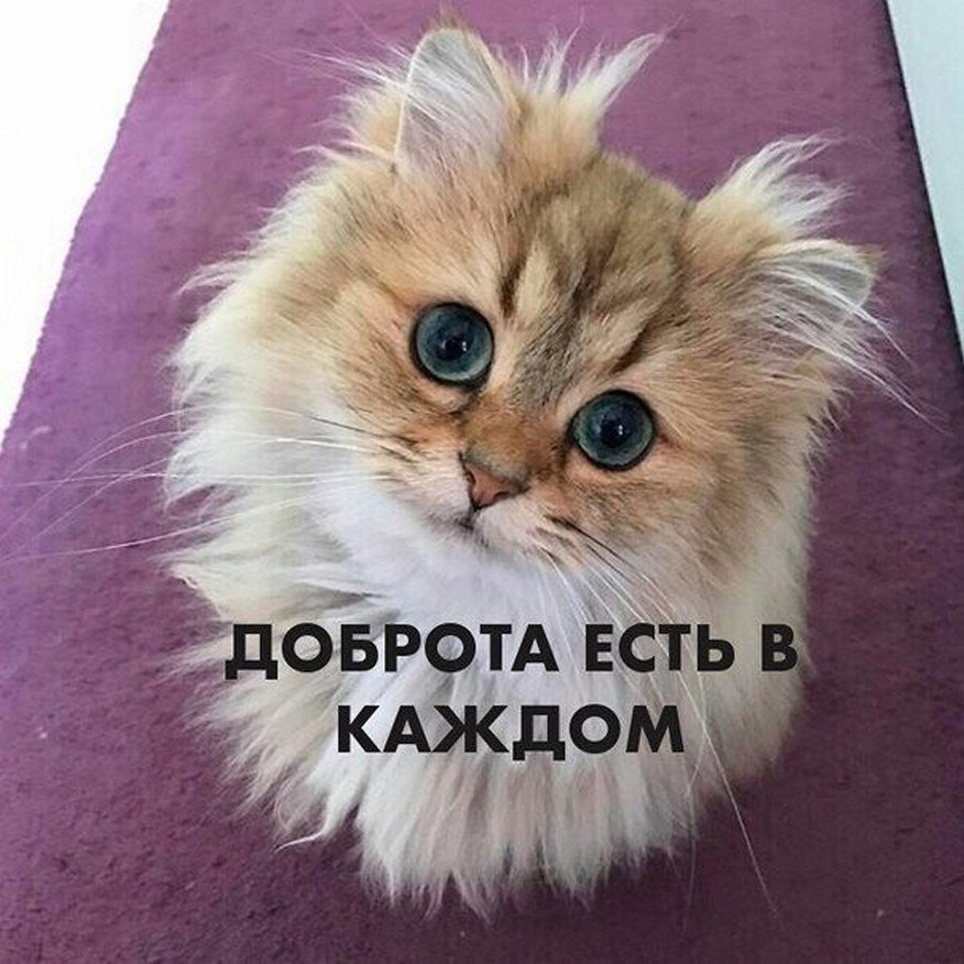 ? ,  ! - 13  2025  22:41
