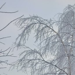 ������, ������, 48 ���