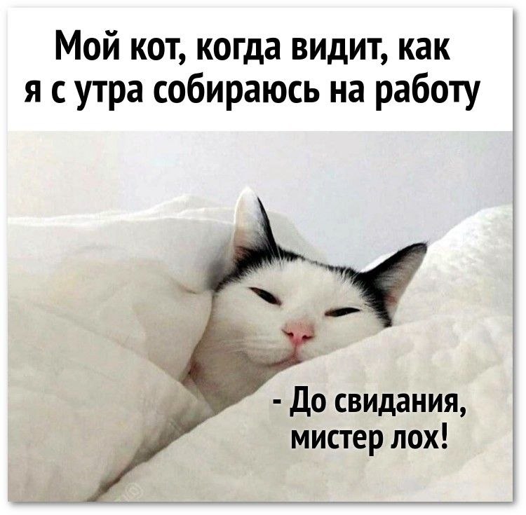   - 16  2025  11:35