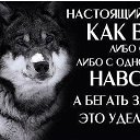 ���� ��������, ��������, 54 ���� - ��������� 22 ����� 2026