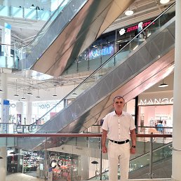 , 53, 