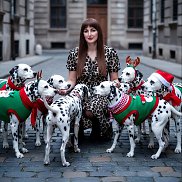 ����, , �����������