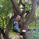 ���� ��������, ������-��-����, 38 ��� - ��������� 17 ������� 2026