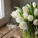 ���� ���, �������� - ��������� 18 ������ 2026 � ������ ������ ��������