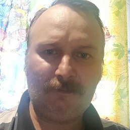 ����, �����-���������, 46 ���