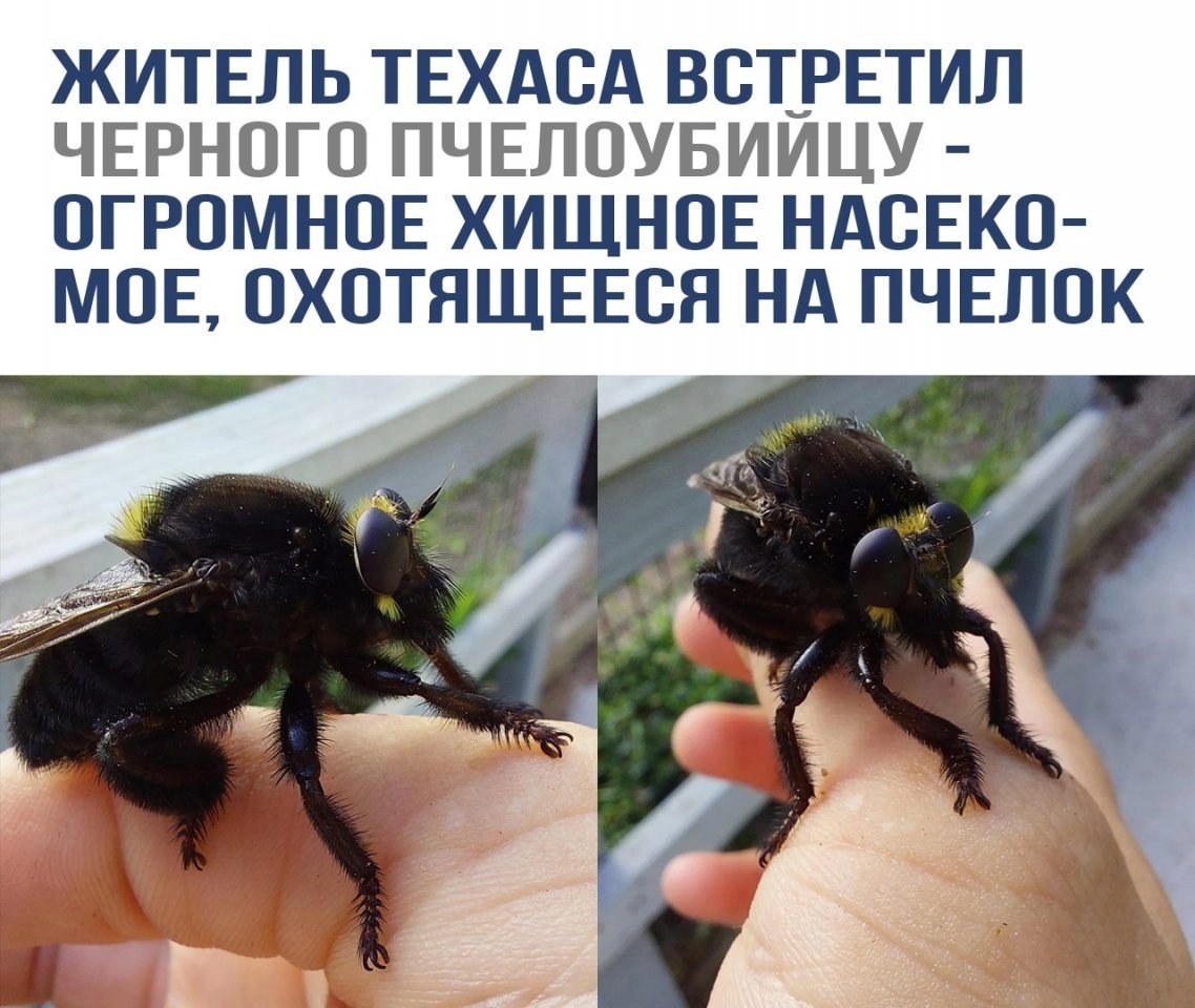 ac, ec oe