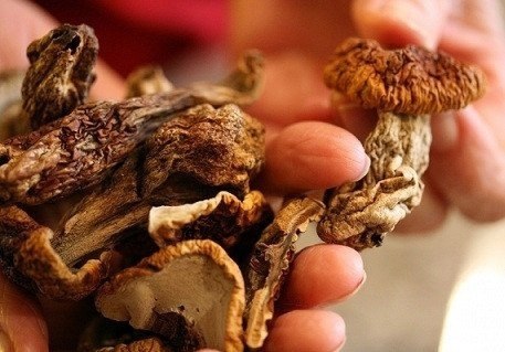 Сушёные белые грибы.Белый гриб - царь грибов, мало кто с этим поспорит. Ведь его уникальный вкус и ...