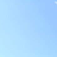 �������, 18 ���, �����������