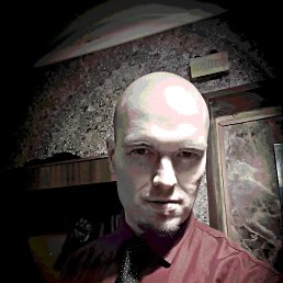 , 37, 