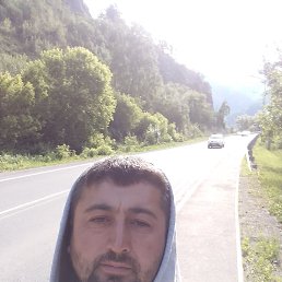 , 34 , 