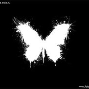 �����, 37 ���, ������