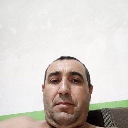 , 41, 