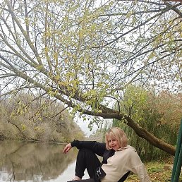 ����, ������, 47 ���