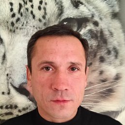 ���� ���������, ����, 45 ��� - ��������� 30 ������ 2026