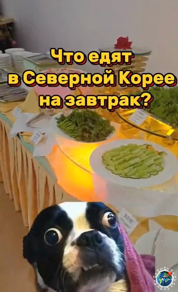 occc pc oaa, o oo o a apa  oee  eepo opee. o o ae, ...