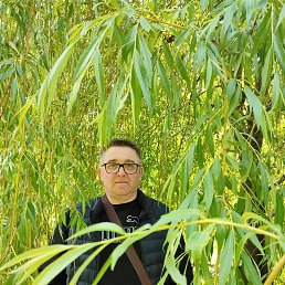 ���� �������, ������, 50 ��� - ��������� 20 ������ 2024