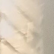 �����, 53 ����, ���������