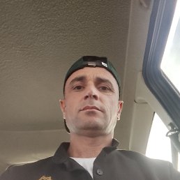 , 41 , 