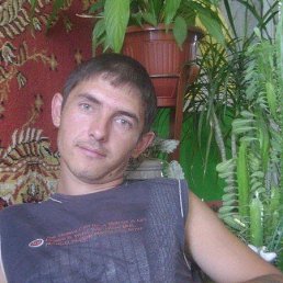 , 41, 