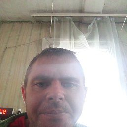 ����, 37 ���, ���������