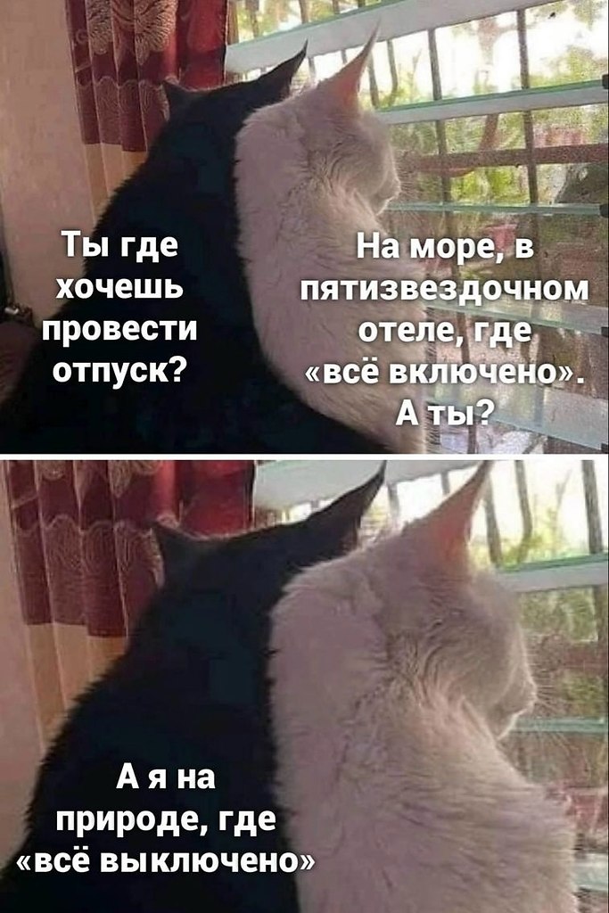 ��� ���� � ����� �� �� - 1 ���� 2026 � 11:02