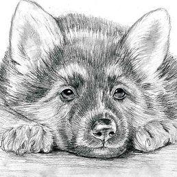 �������, �����-���������, 28 ���