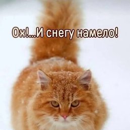 ���� ������, ������, 42 ���� - ��������� 18 ������� 2023