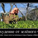 ���� ���������, ������ - ��������� 14 ������� 2026 � ������ �������
