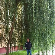 ���, 58 ���, �������