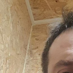 �����, ������, 37 ���