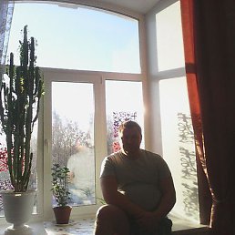 ���� ������, �����, 42 ���� - ��������� 12 ��� 2024