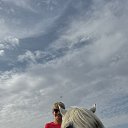 ���� �����, �������� - ��������� 7 ������ 2025