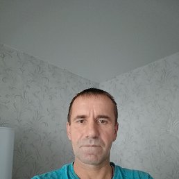 , 43 , 